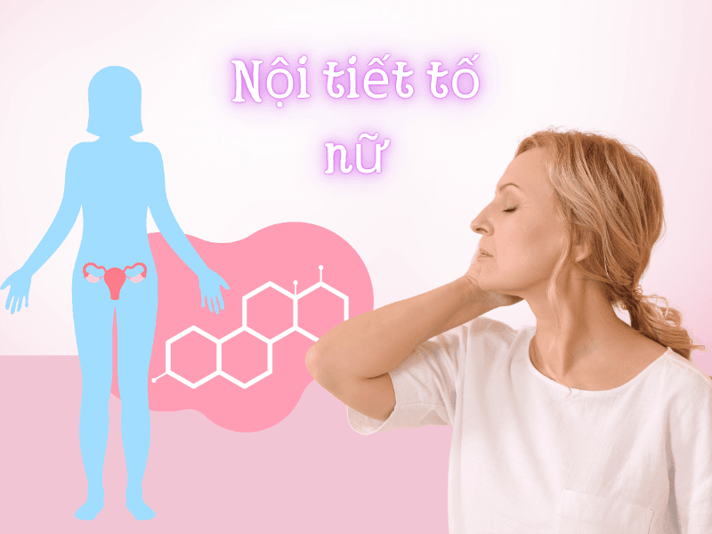 Nội tiết tố nữ là gì