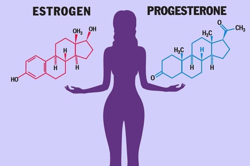 Progesterone nữ là gì
